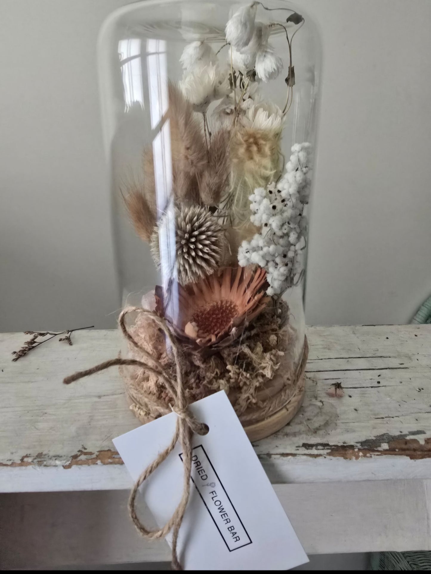 Native and preserved Terrarium with Clear Quartz